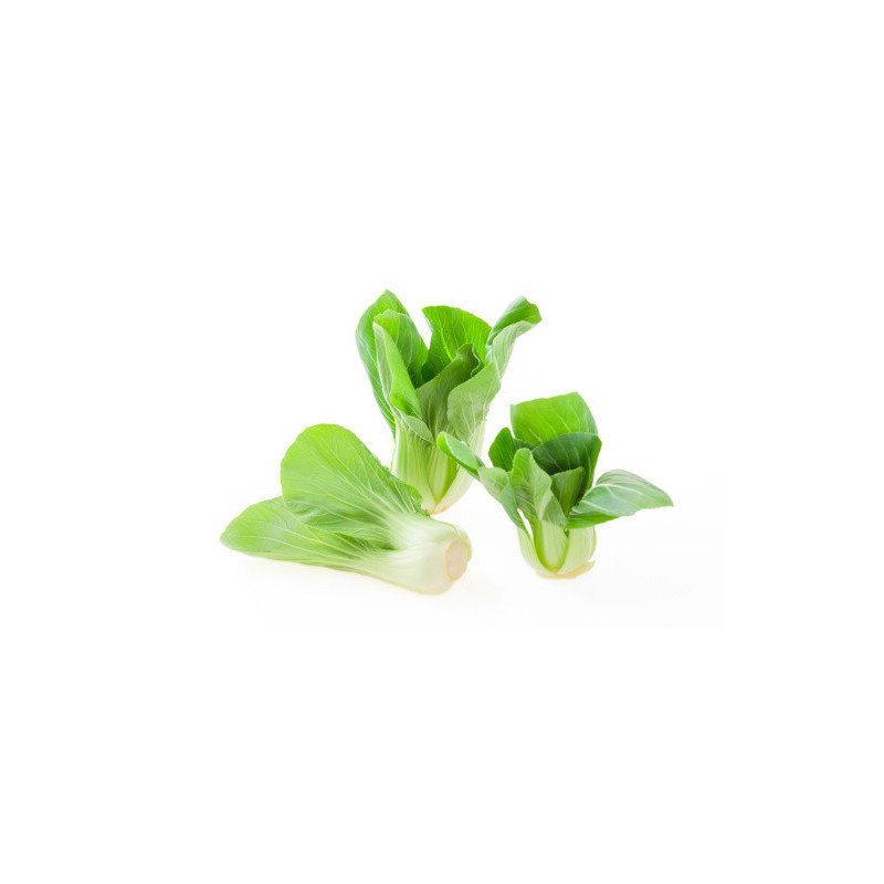 BOK CHOY, BABY WHITE