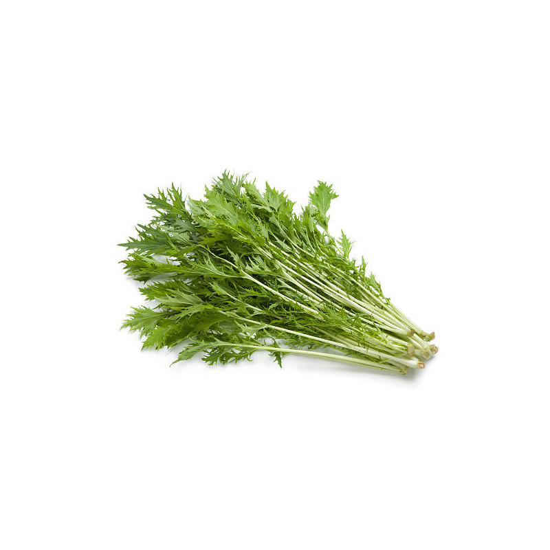 Mizuna (Green)