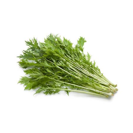 Mizuna (Green)