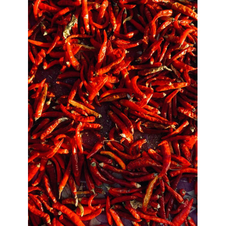 CHILI - CAYENNE THIN