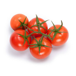 TOMATO-VINE-BREAK O'DAY