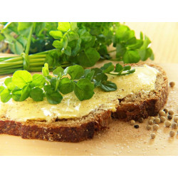 Watercress