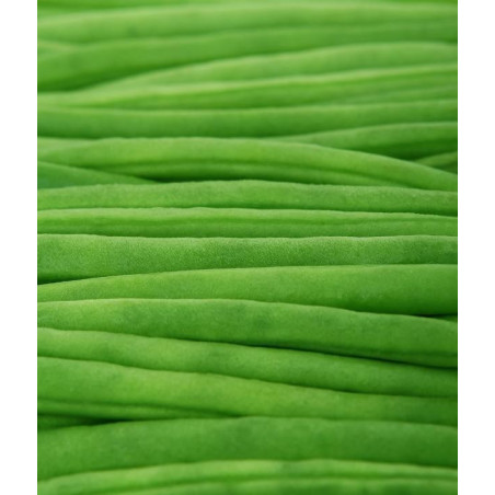 BEAN, BLUE LAKE - CLIMBING - ORGANIC