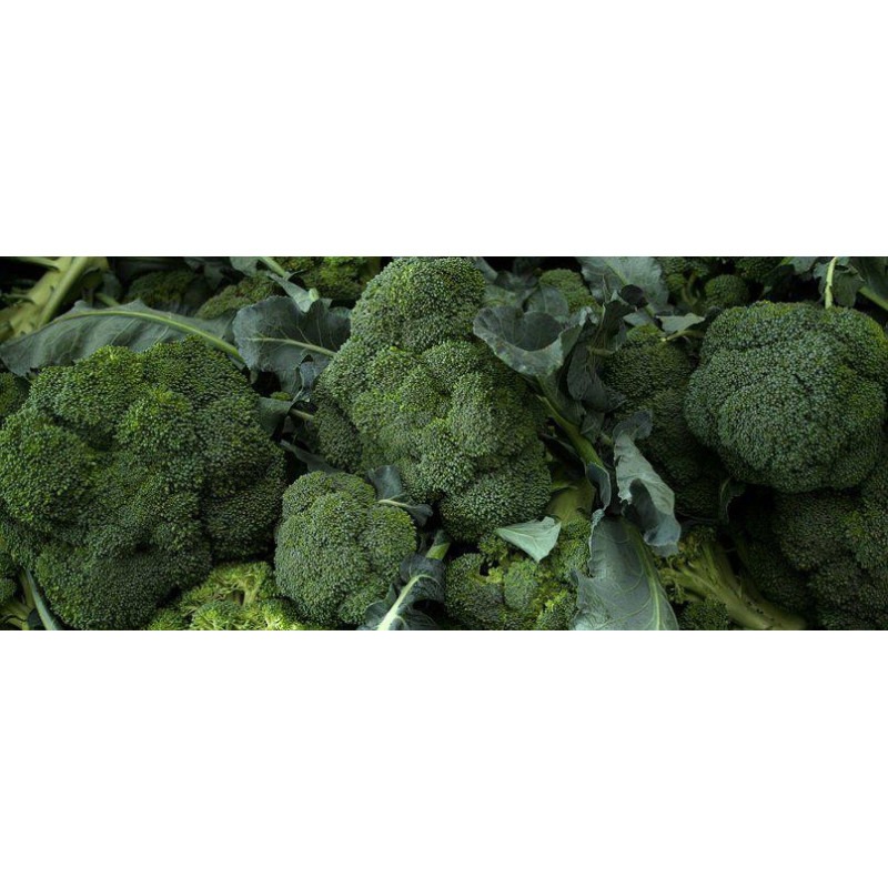 BROCCOLI - DI CICCIO - ORGANIC