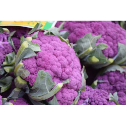 CAULIFLOWER - PURPLE SICILY