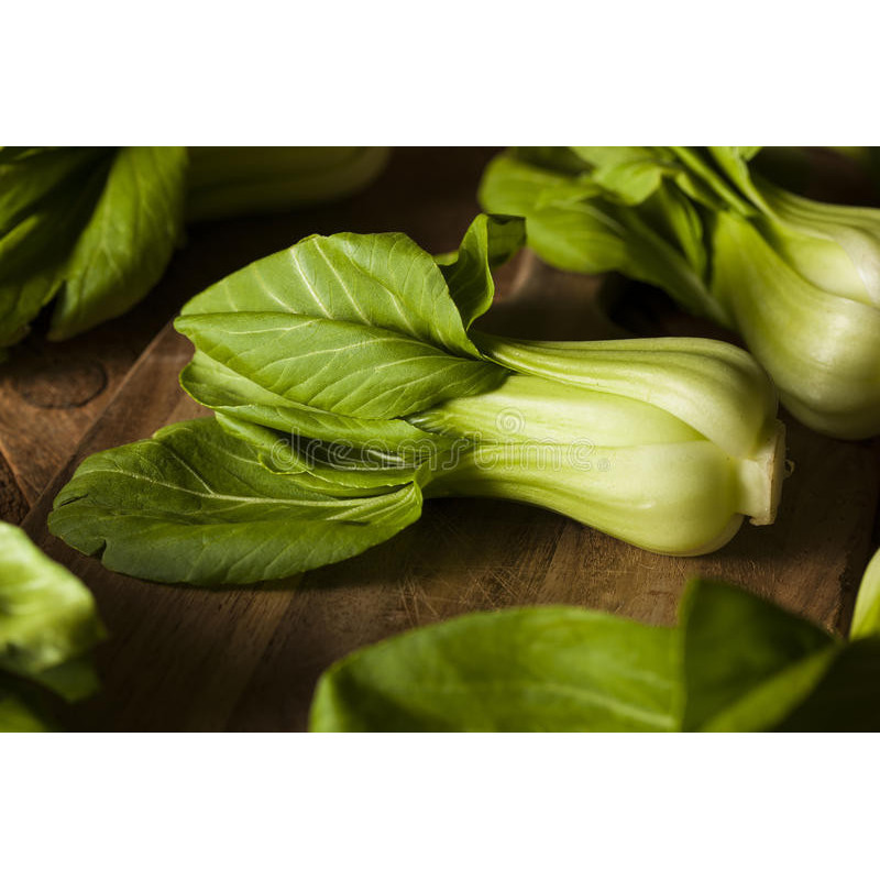 CABBAGE CHINESE - BOK CHOY GREEN STEMMED