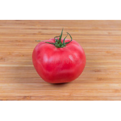 TOMATO - ROSE de BERNE - VINE - ORGANIC