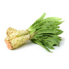 CELTUCE