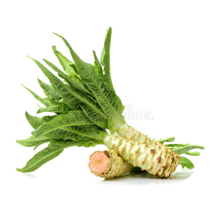 CELTUCE