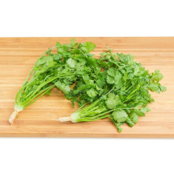 CORIANDER-SLOW BOLT