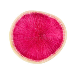 RADISH-WATERMELON