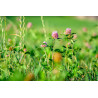 HIGH NITROGEN SOIL MIX
