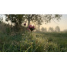 HIGH NITROGEN SOIL MIX