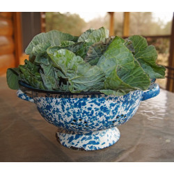 COLLARDS-GEORGIA SOUTHERN