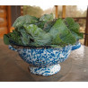 COLLARDS-GEORGIA SOUTHERN