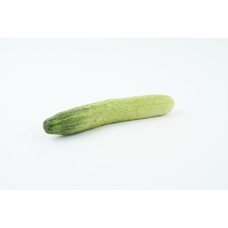 CUCUMBER-ARMENIAN-ORGANIC