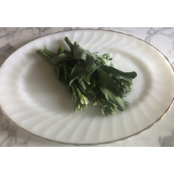 KAILAAN - CHINESE BROCCOLI