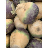 SWEDE - CHAMPION PURPLE TOP
