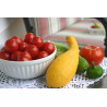 ZUCCHINI SQUASH-GOLDEN SUMMER CROOKNECK-ORGANIC