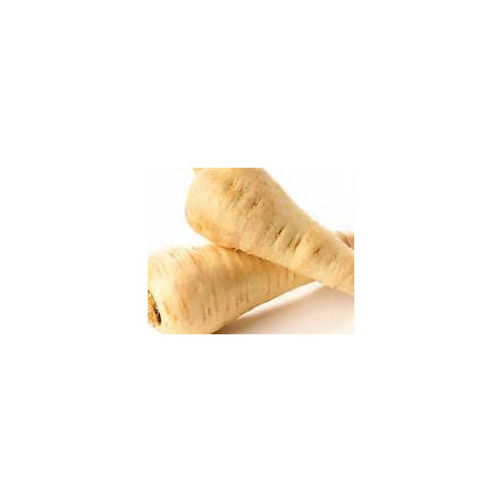 PARSNIP-HARRIS MODEL