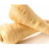 PARSNIP-HARRIS MODEL