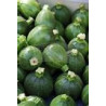 ZUCCHINI-ROUND-ORGANIC