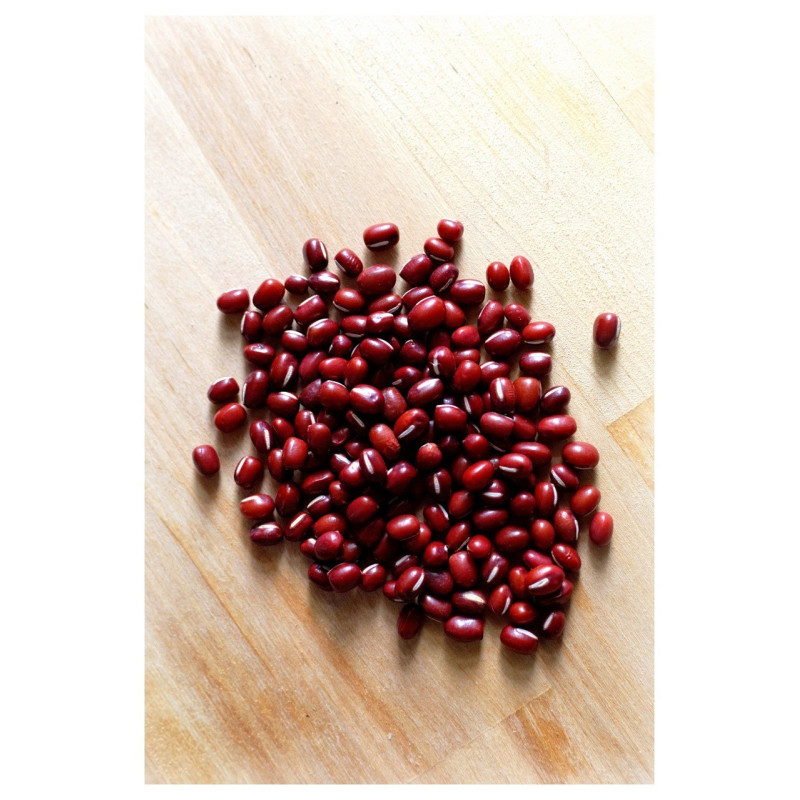 BEAN, AZUKI BEAN SEEDS FOR SPROUTING