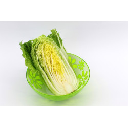 CABBAGE, CHINESE, MICHIHILLI