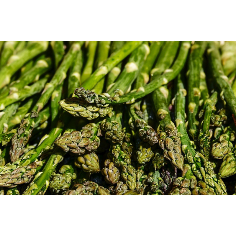 ASPARAGUS - ARGENTEUIL