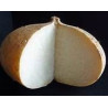 JICAMA - MEXICAN WATER CHESTNUT - YAM BEAN