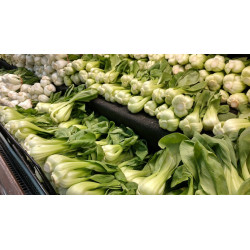 BOK CHOY - BABY CHOY