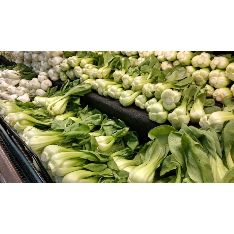 BOK CHOY - BABY CHOY