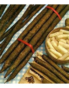salsify
