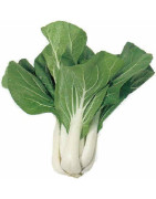 pak choi