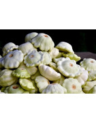 squash