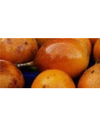 Passionfruit