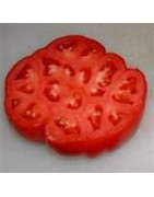 beefsteak